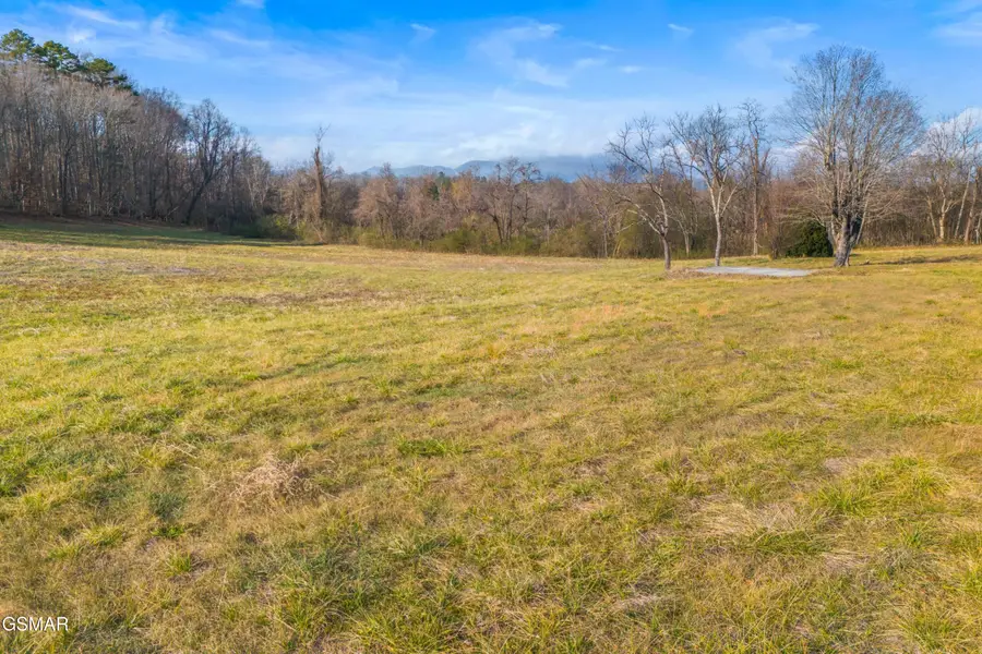 4121 Chavis Road, Cosby, TN 37722 - Image #3