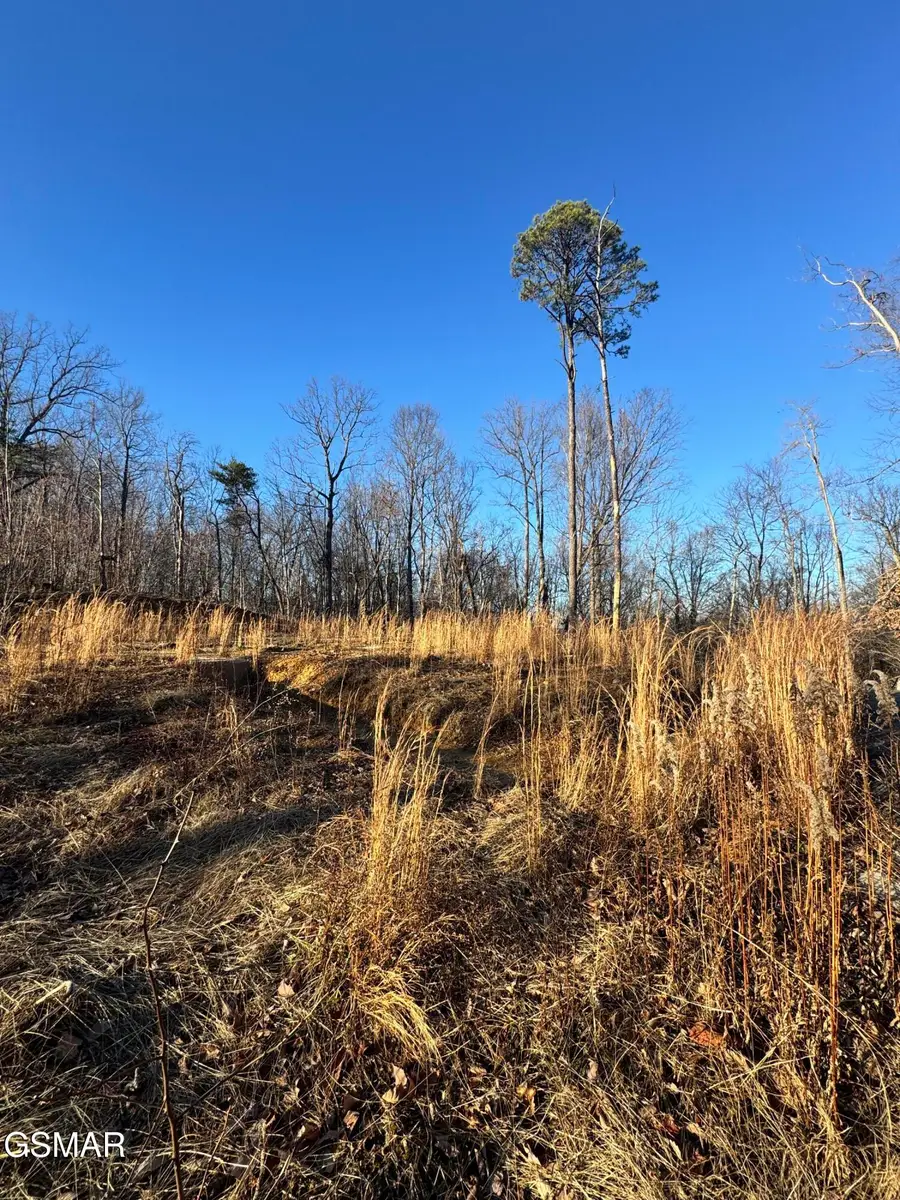 3361 Sugar Maple Loop Road, Sevierville, TN 37862 - Image #2