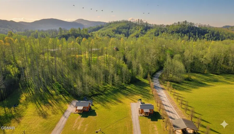 181 Highway 32, Cosby, TN 37722 - Image #3