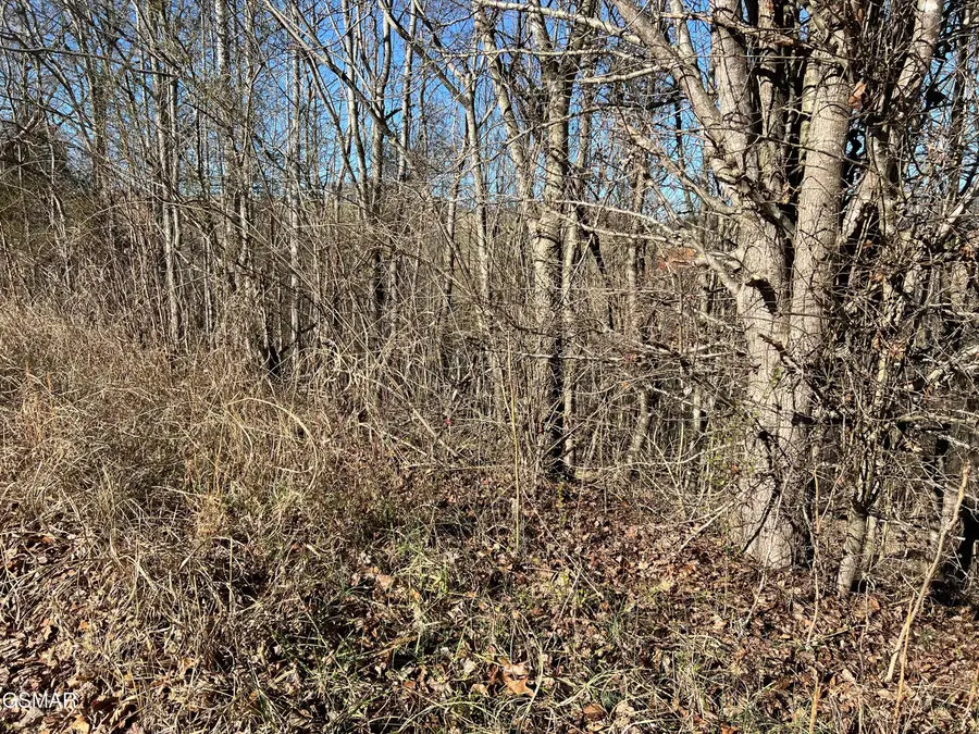 Lot 03 Baldwin View Drive, New Market, TN 37820 - Image #3