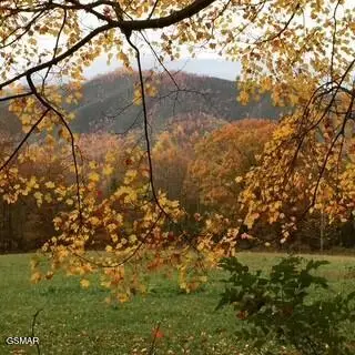 00 Mountain Laurel Way, Cosby, TN 37722 - Image #1