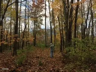 00 Mountain Laurel Way, Cosby, TN 37722 - Image #2