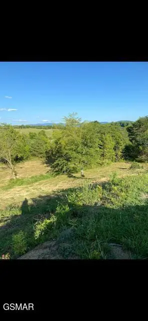 2644 East Flat Creek Boulevard, Sevierville, TN 37876 - Image #1