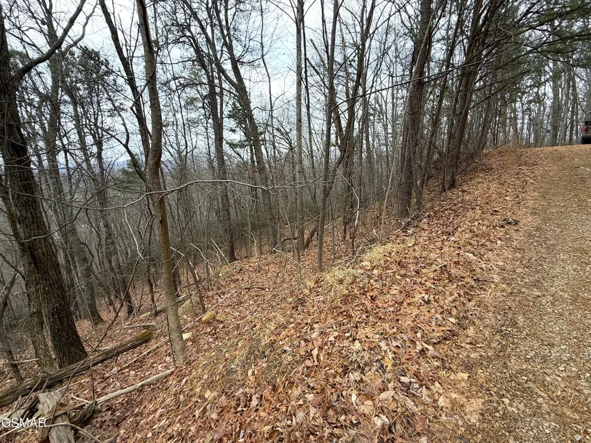1.01 Ac Green Forest Road, Cosby, TN 37722 - Image #1