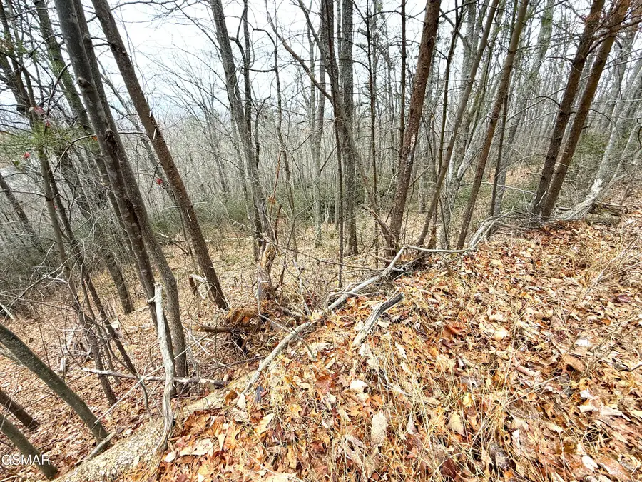 1.01 Ac Green Forest Road, Cosby, TN 37722 - Image #2