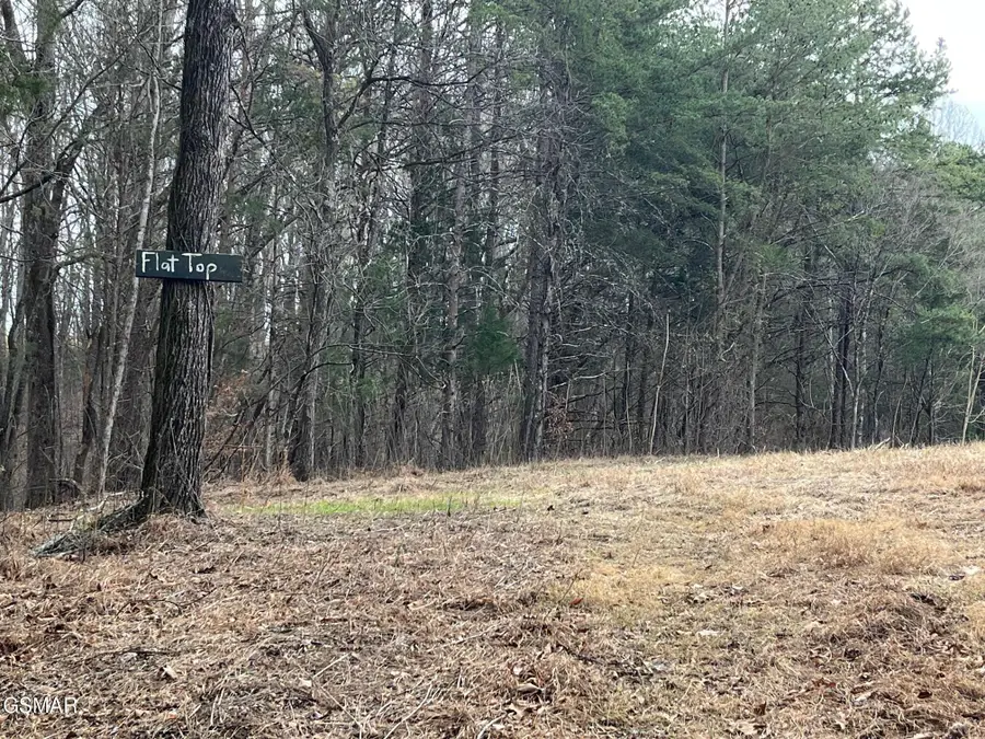 Tract 19 Pleasant View Cemetery Road, New Market, TN 37820 - Image #3