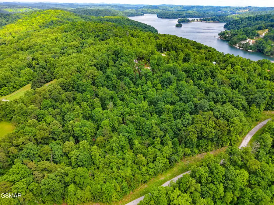 0 E Dogwood Trail, La Follette, TN 37766 - Image #3