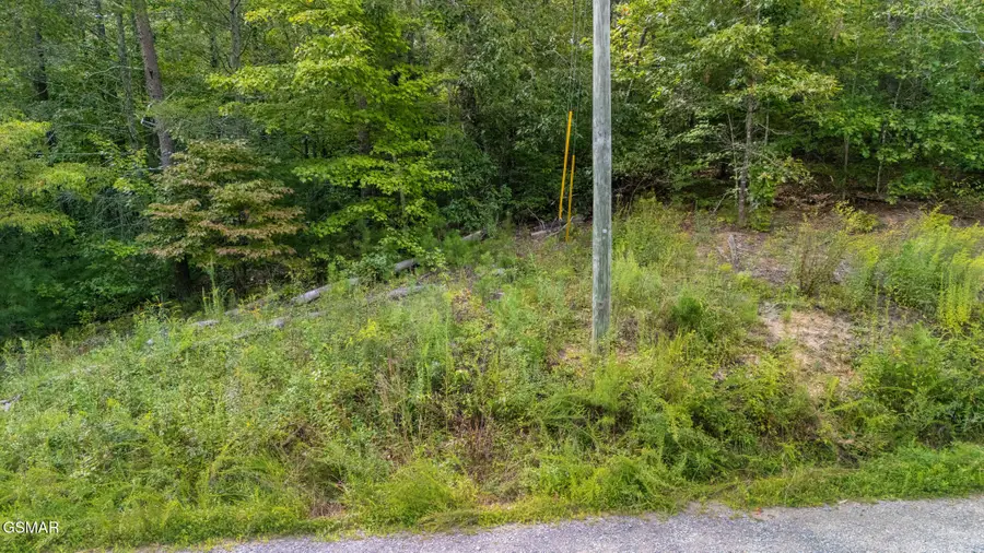 TR10 Dunn Creek Way/daxa Way, Sevierville, TN 37876 - Image #3