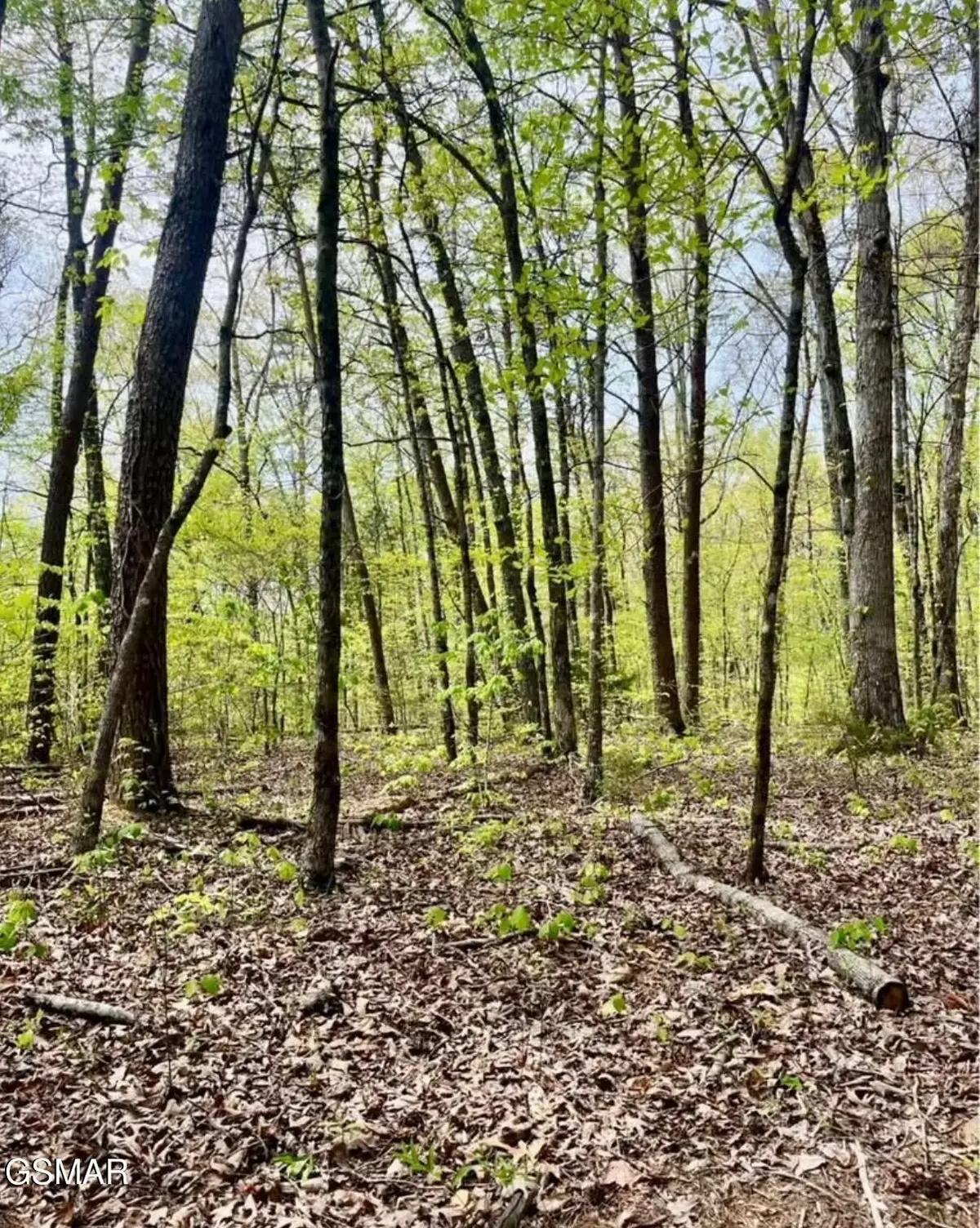 2682 Atchley Rd Lot 1, Sevierville, TN 37876 - Image #1