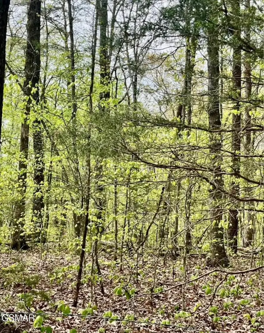 2682 Atchley Rd Lot 1, Sevierville, TN 37876 - Image #2