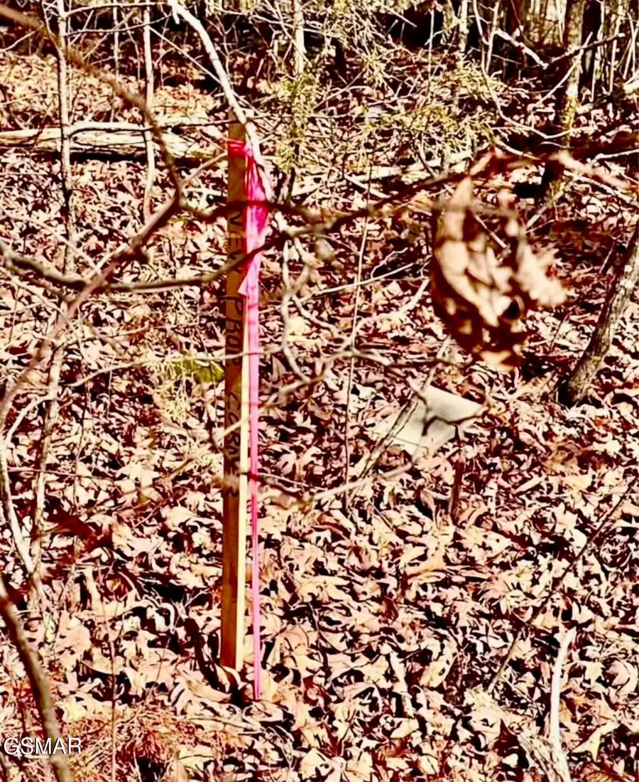 2682 Atchley Rd Lot 1, Sevierville, TN 37876 - Image #3