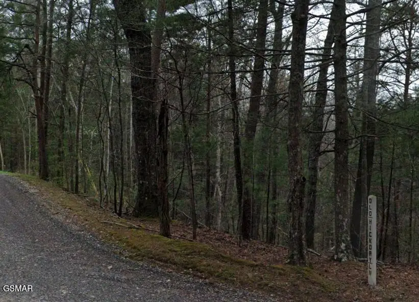 0 Old Hickory Road, Coker Creek, TN 37385 - #2