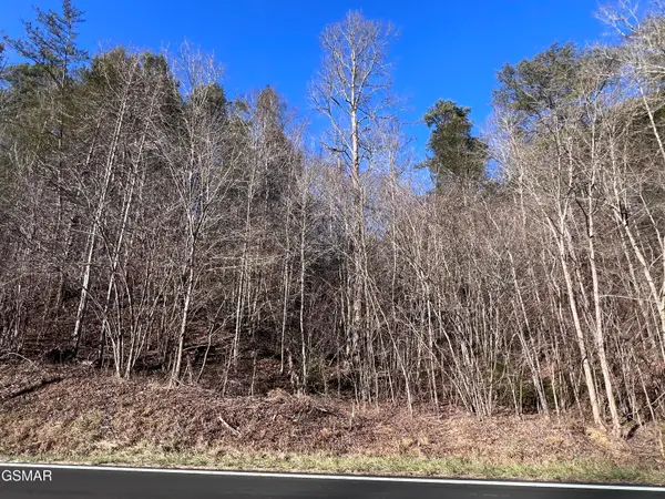 Lot 17, 18 Jones Cove Road, Sevierville, TN 37876