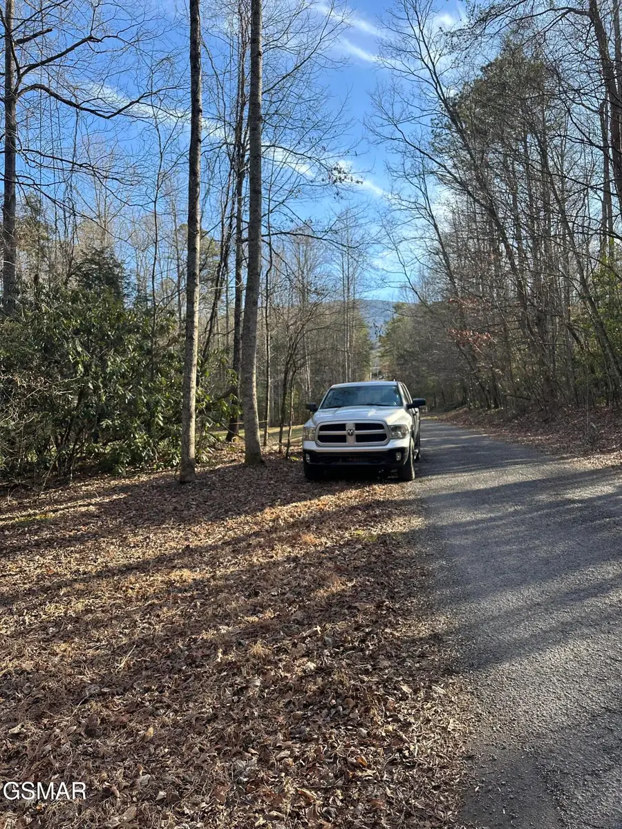 144 Cricket Hollow Way, Cosby, TN 37722 - #2