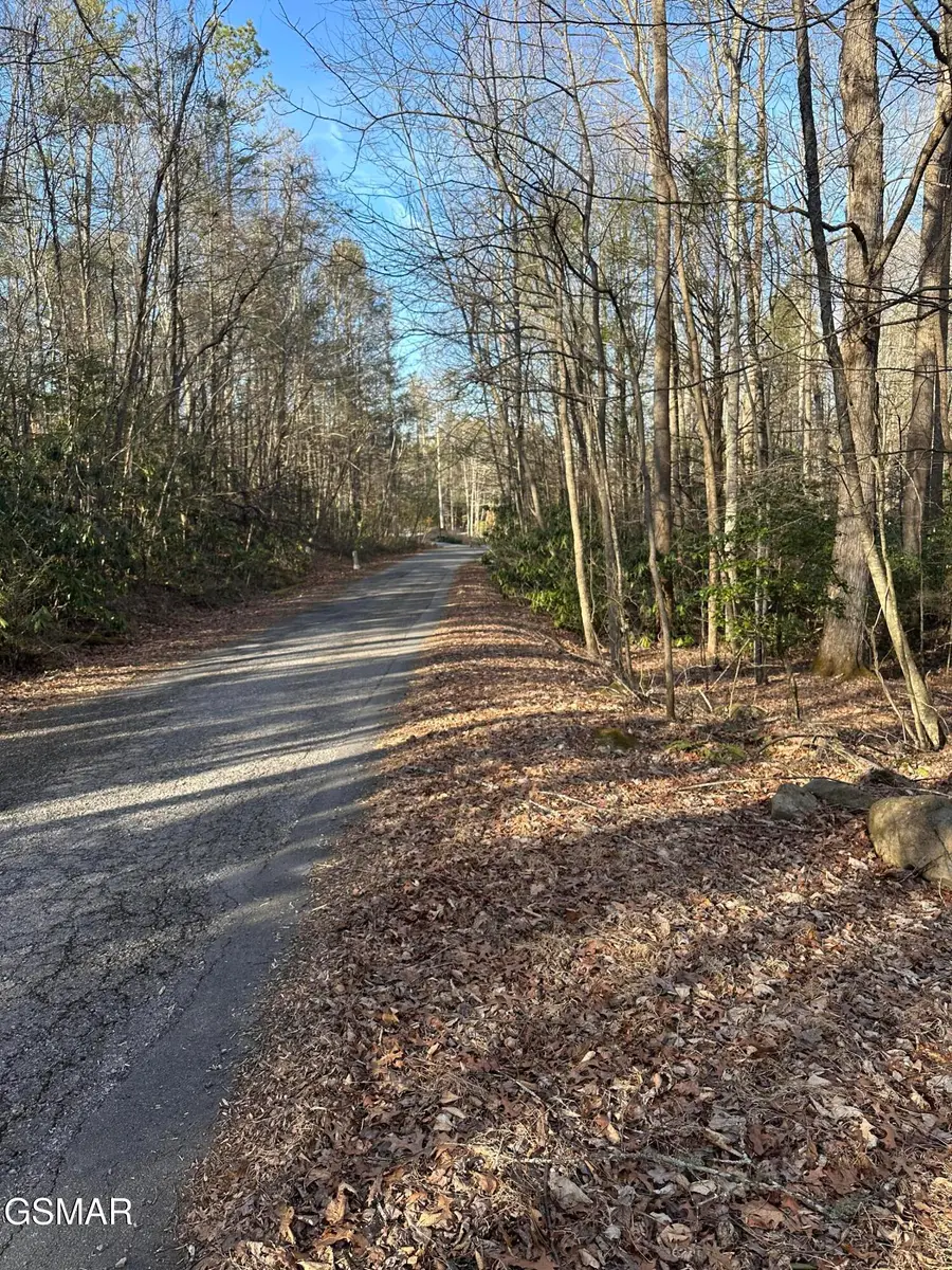 144 Cricket Hollow Way, Cosby, TN 37722 - #3