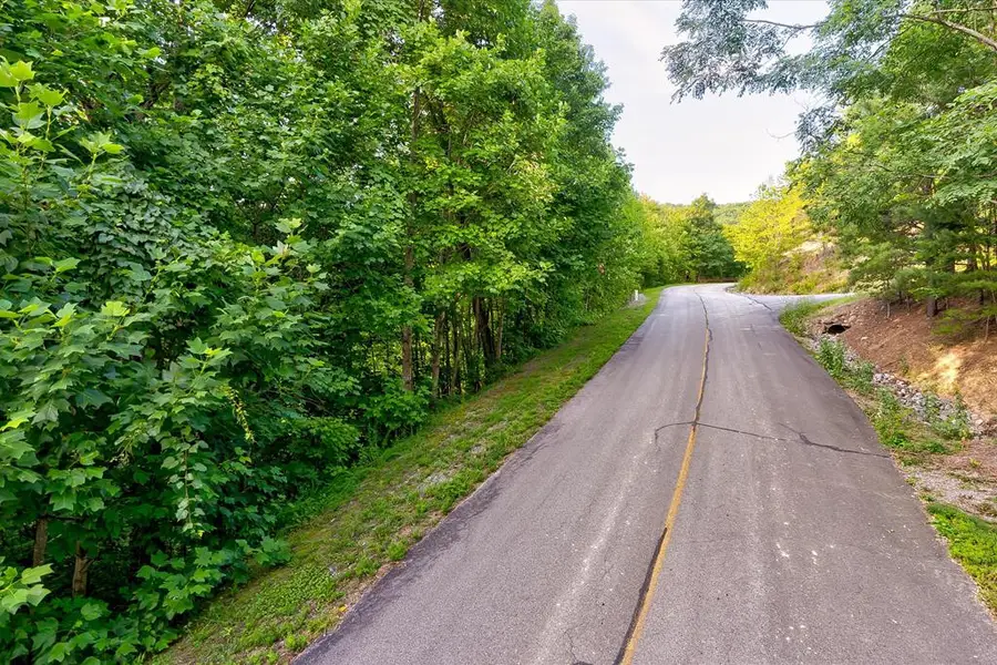 Lot 64E Redtail Road, Sevierville, TN 37862 - #3
