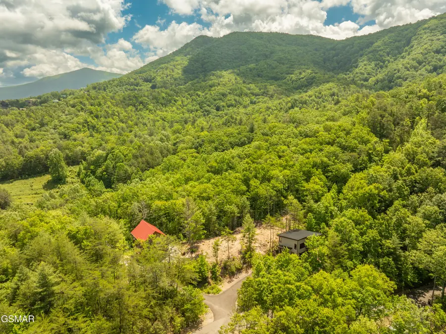 111 Little Round Top Lane, Townsend, TN 37882 - #2