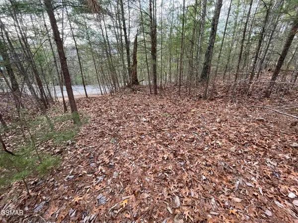 Lot 79 Whetstone Road, Sevierville, TN 37862