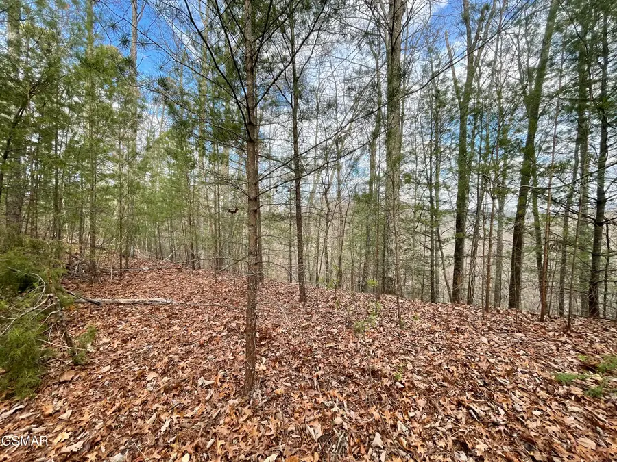 Lot 79 Whetstone Road, Sevierville, TN 37862 - #2