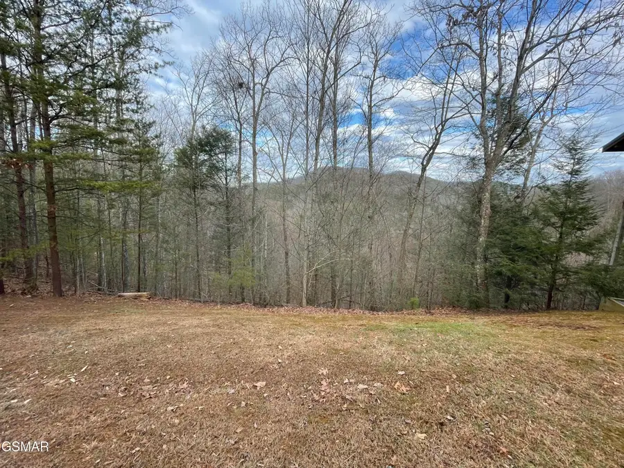 Lot 79 Whetstone Road, Sevierville, TN 37862 - #3