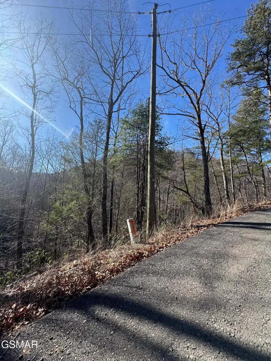 Tract 15 Blossom Hollow Way, Sevierville, TN 37876 - #2