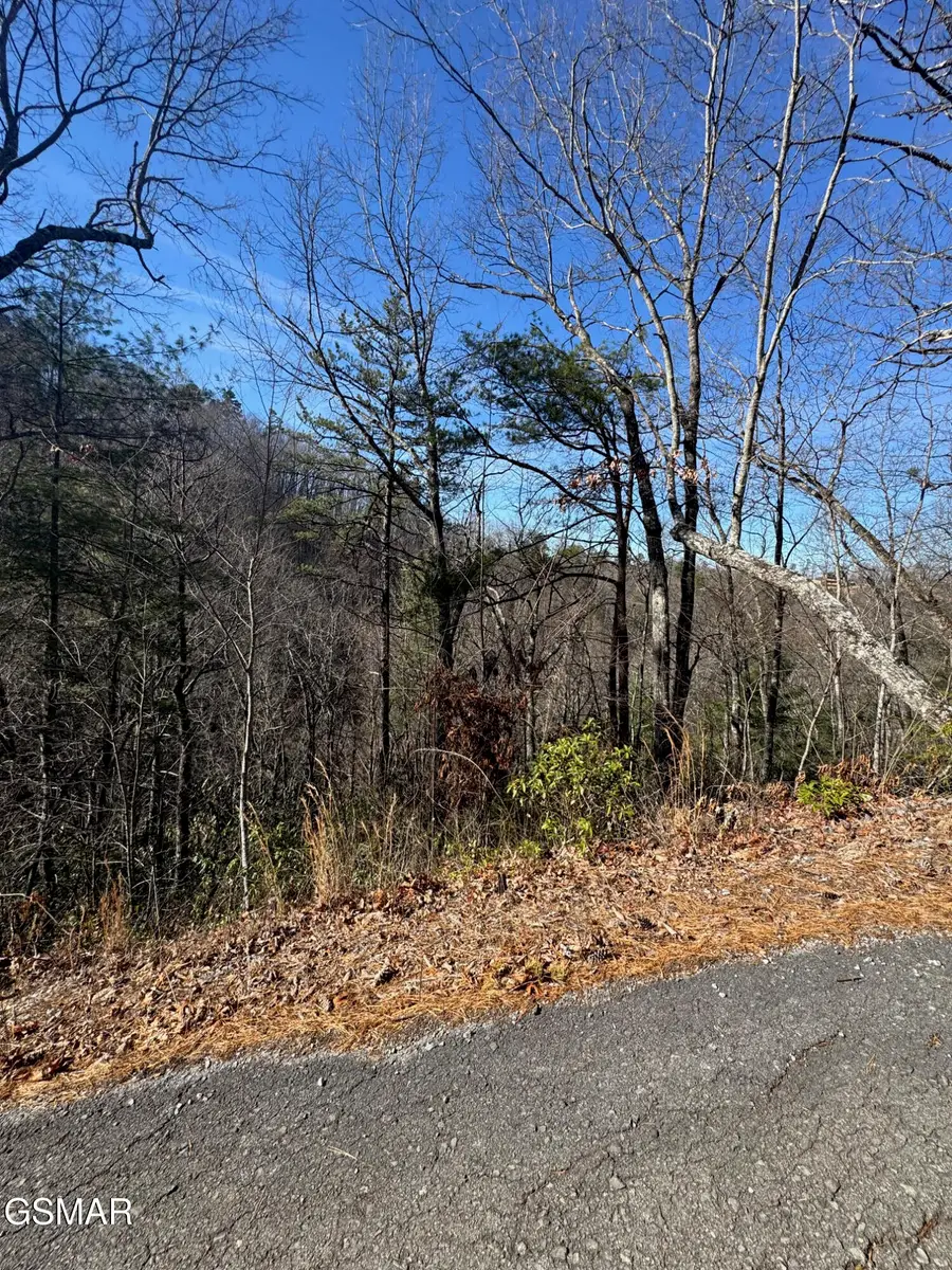 Tract 15 Blossom Hollow Way, Sevierville, TN 37876 - #3