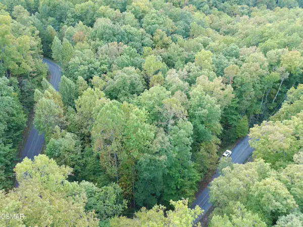 Lot 27 Pinnacle Vista Road, Pittman Center, TN 37738