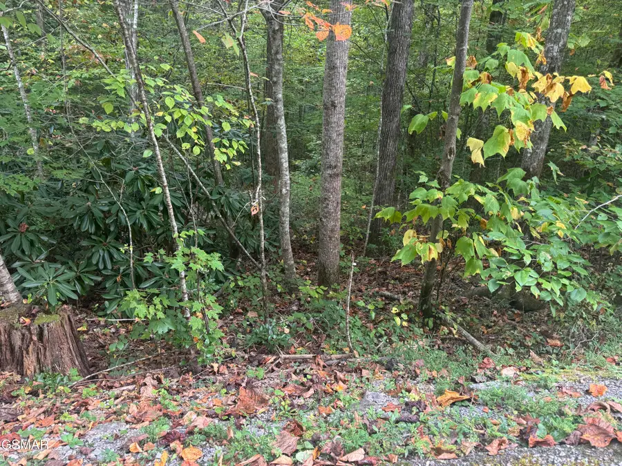 Lot 27 Pinnacle Vista Road, Pittman Center, TN 37738 - #3