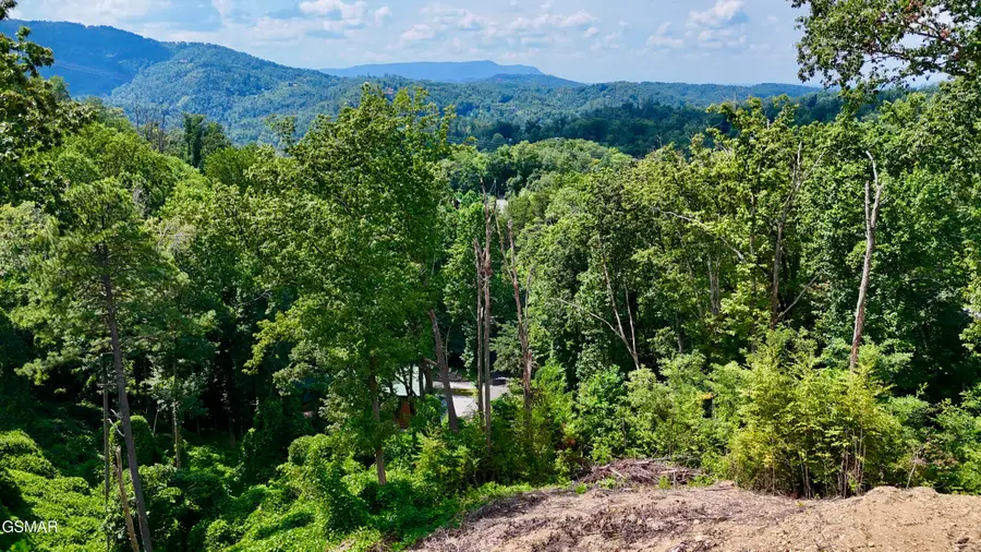 1119 E Kings Ridge Road, Gatlinburg, TN 37738 - Image #2