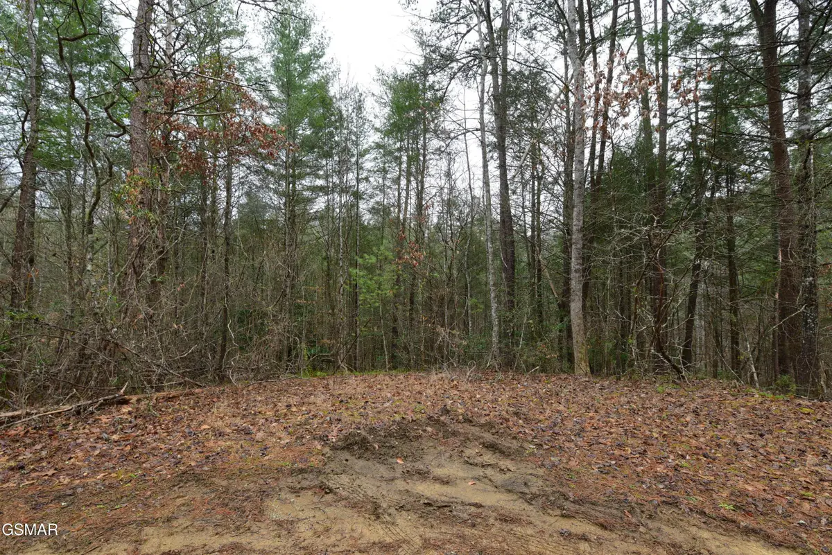 Lot 23 Alpine Ridge Way, Sevierville, TN 37876 - #1