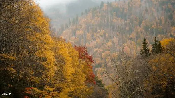 Lot .0001 Stepping Stone Drive, Sevierville, TN 37862 - #2