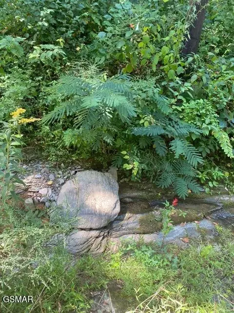 Lot .0001 Stepping Stone Drive, Sevierville, TN 37862 - #3
