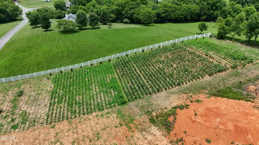 925 Holston Shores Drive, Rutledge, TN 37861 - #3