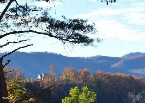 4572 Wilderness Plateau, Pigeon Forge, TN 37863 - Image #3