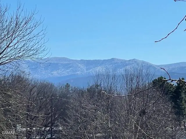 229 Dove Drive, Sevierville, TN 37876 - Image #2