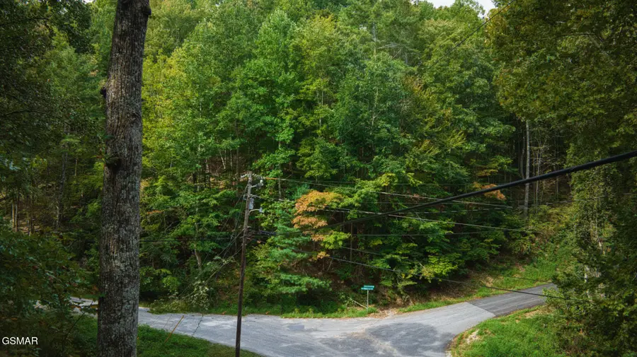Lot 9 Stepping Stone Drive, Sevierville, TN 37862 - Image #2