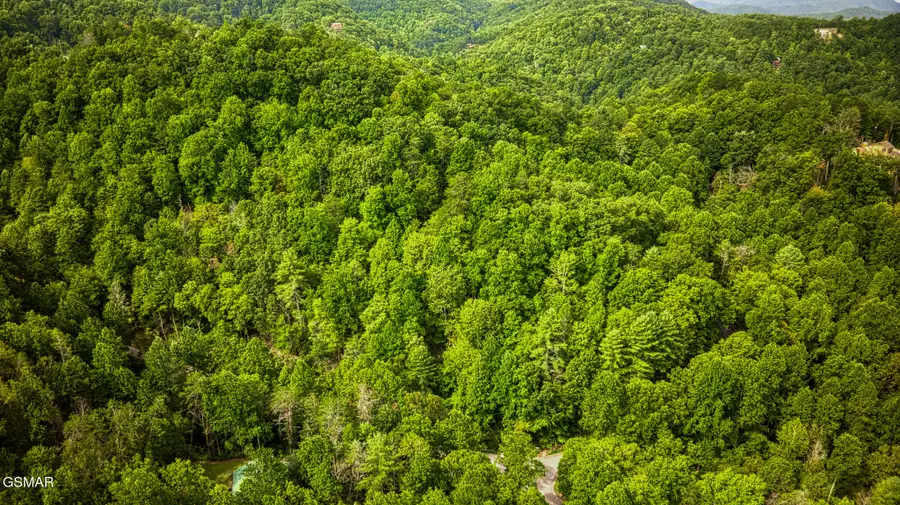 Lot 9 Stepping Stone Drive, Sevierville, TN 37862 - Image #3