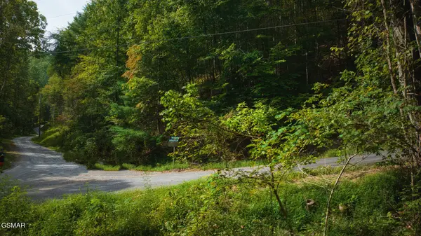 Lot 10 Stepping Stone Drive, Sevierville, TN 37862