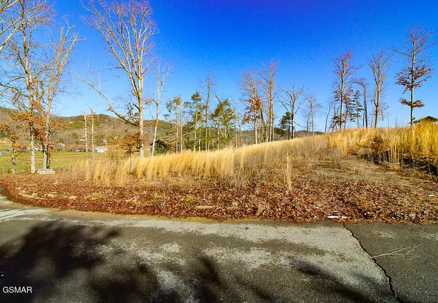 3246 Samuel Wear Drive, Sevierville, TN 37862 - Image #3