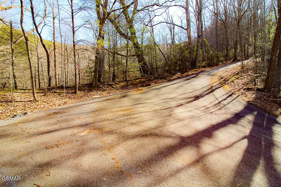 Lot 3 Ravens Den Way, Sevierville, TN 37862 - #2
