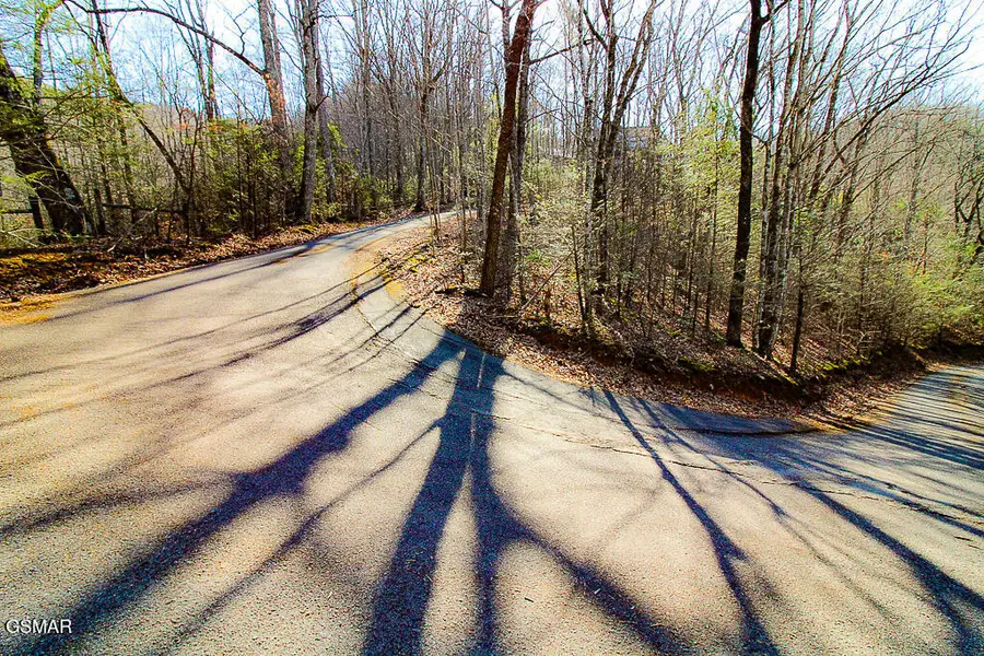 Lot 3 Ravens Den Way, Sevierville, TN 37862 - #3