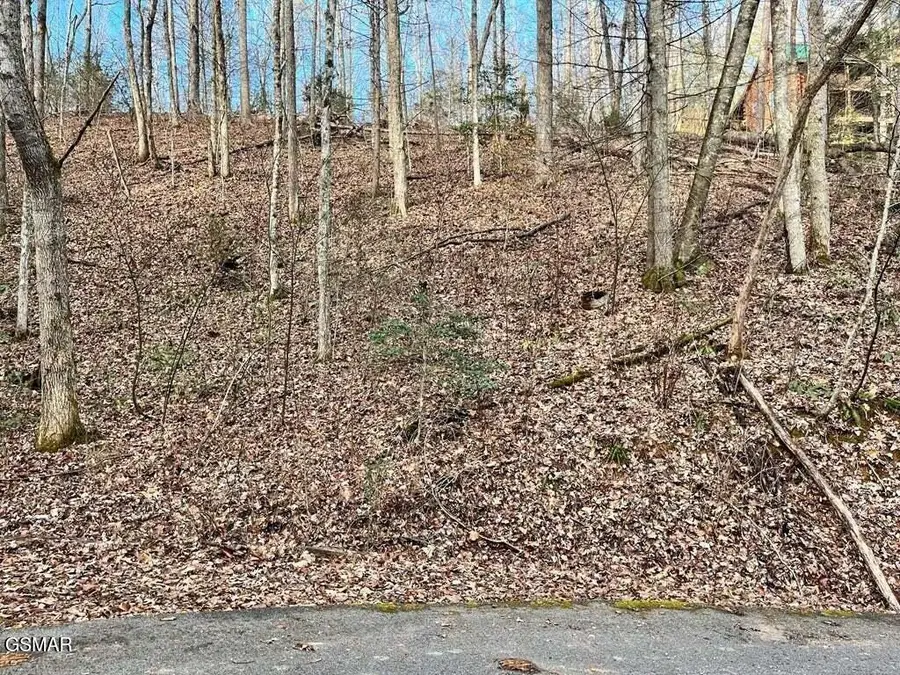 Lot 30C N Highland Drive, Gatlinburg, TN 37738 - #2
