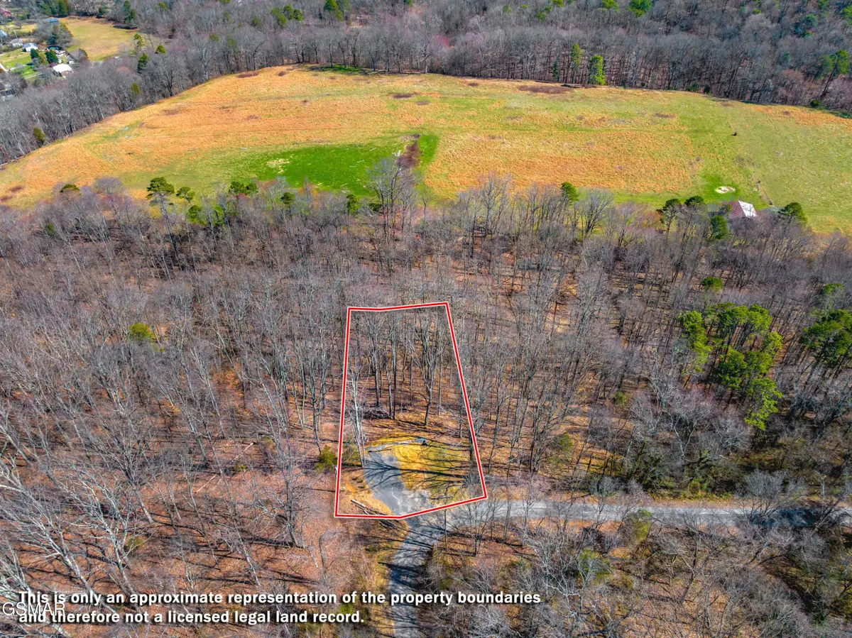 701 Michaels Way, Newport, TN 37821 - #1