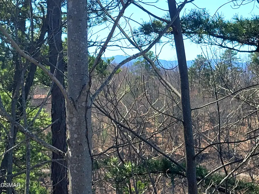 3328 Sugar Maple Loop Road, Sevierville, TN 37862 - #3