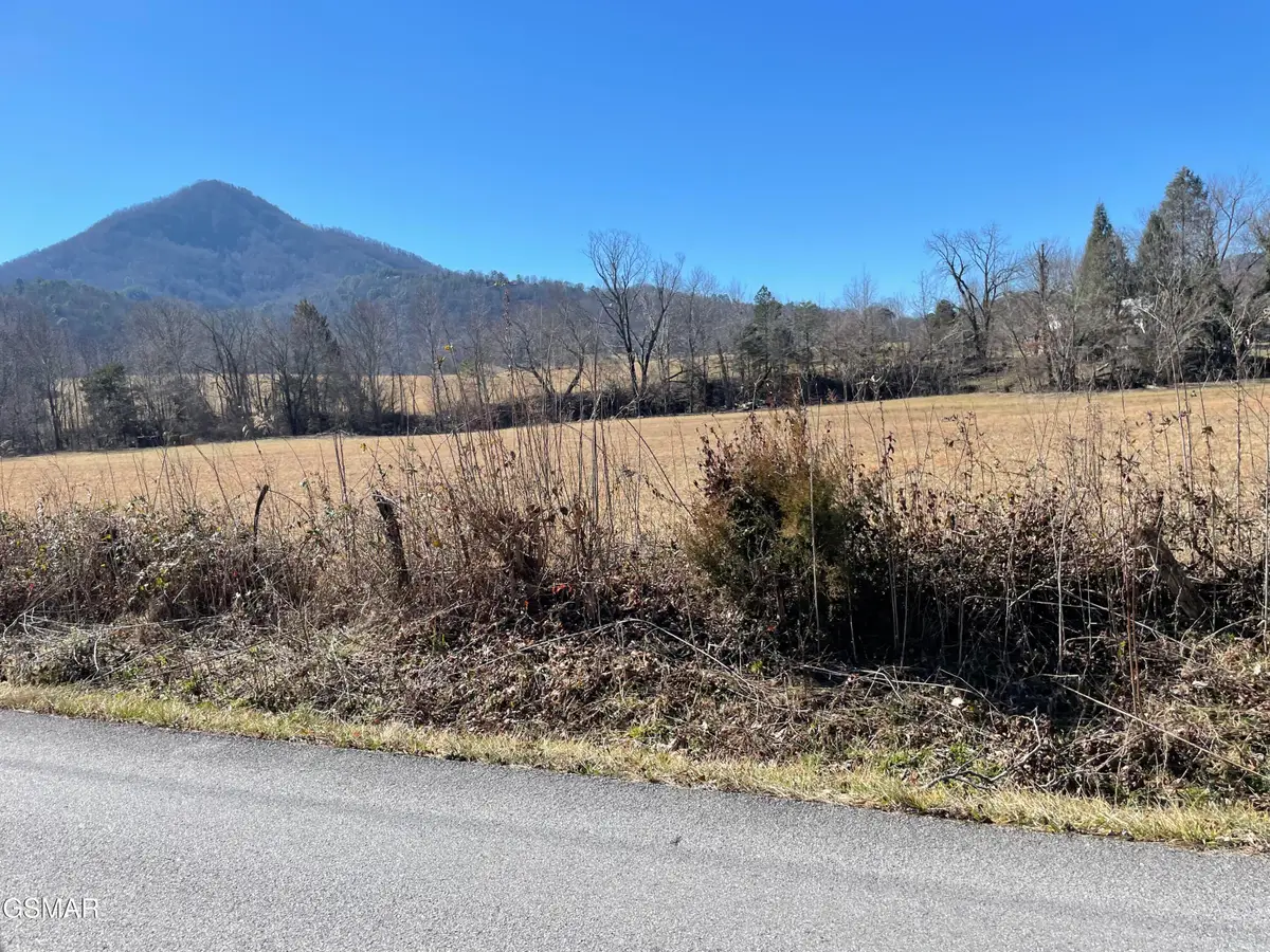 Lots 4/5/6 Line Springs Road, Sevierville, TN 37862 - #1
