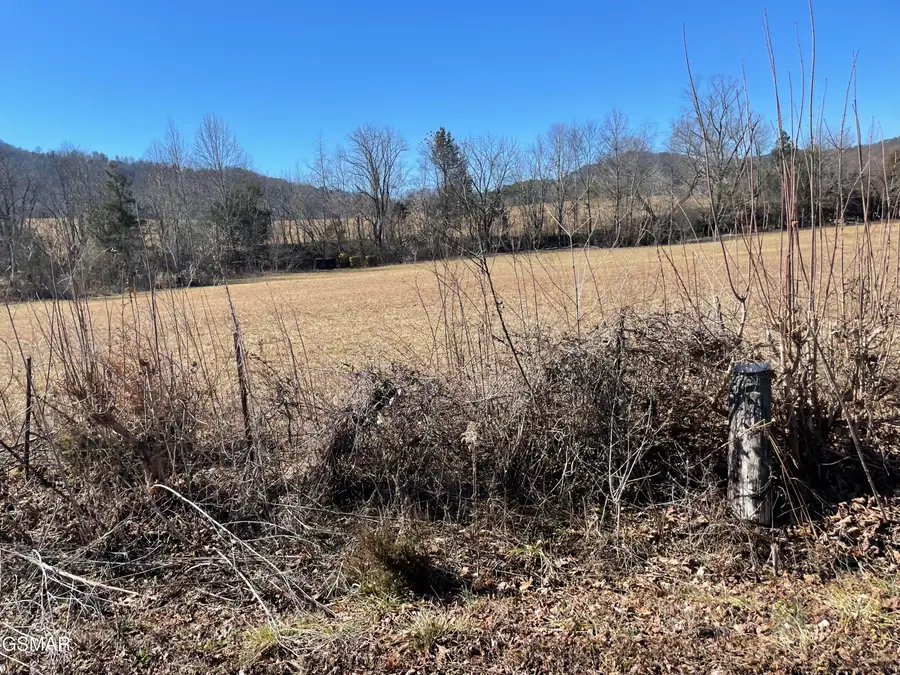 Lots 4/5/6 Line Springs Road, Sevierville, TN 37862 - #2