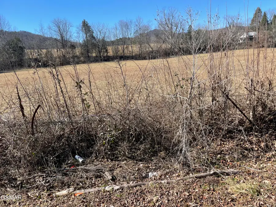 Lots 4/5/6 Line Springs Road, Sevierville, TN 37862 - #3