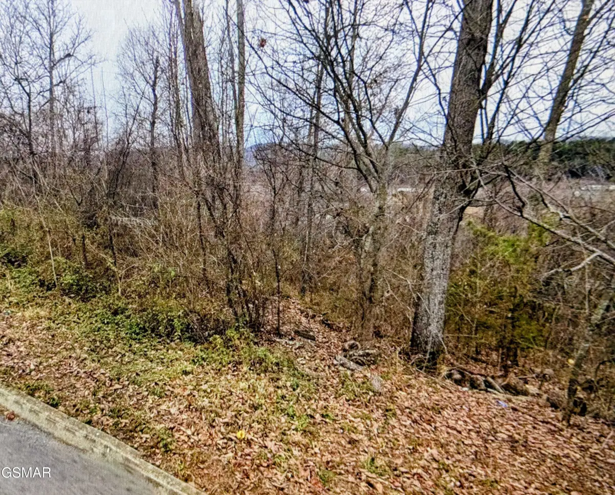 Lot 141 Low Valley Rd Road, Dandridge, TN 37725 - #1