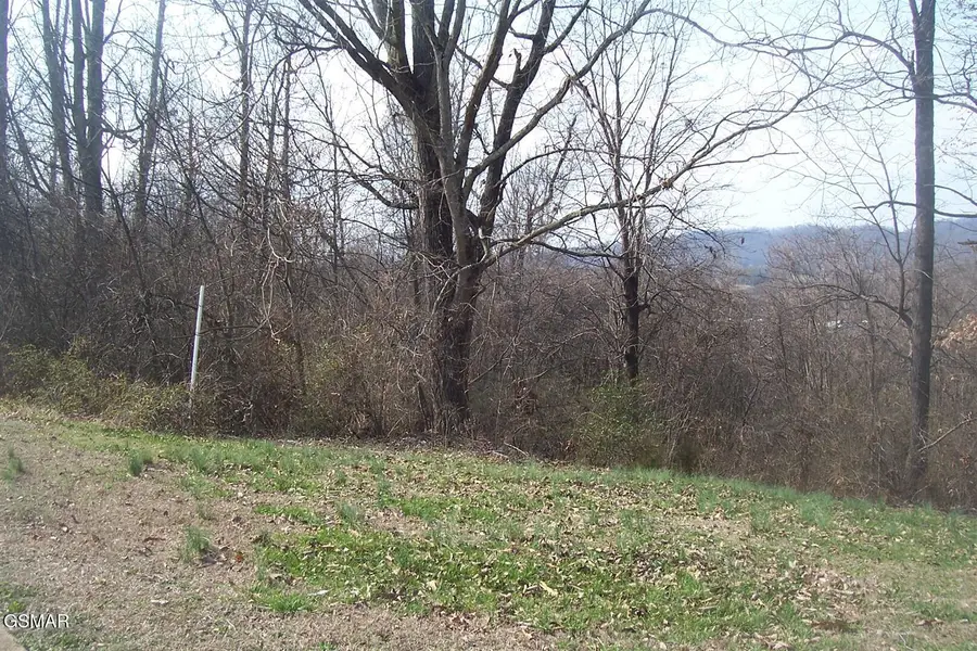 Lot 141 Low Valley Rd Road, Dandridge, TN 37725 - #2