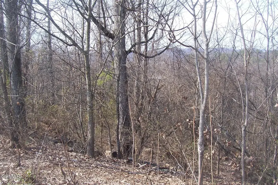 Lot 141 Low Valley Rd Road, Dandridge, TN 37725 - #3